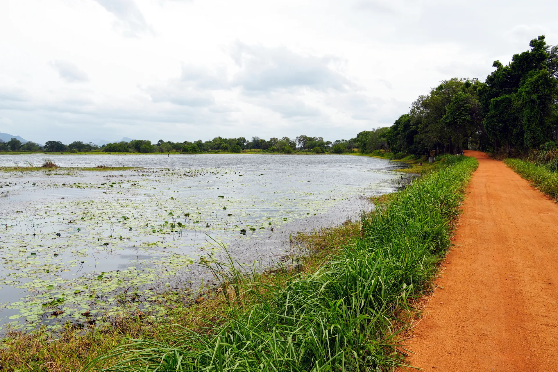 Cuidados Médicos e Vacinas para Visitar Sri Lanka