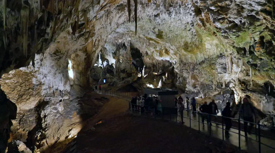 Grutas de Postojna, Eslovénia