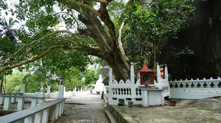 Guia Prático de Viagem para o Sri Lanka