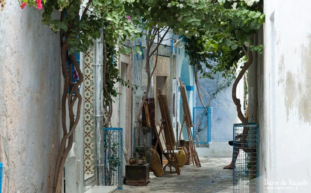 Hammamet, Explorando a Joia do Mediterrâneo | Tunísia