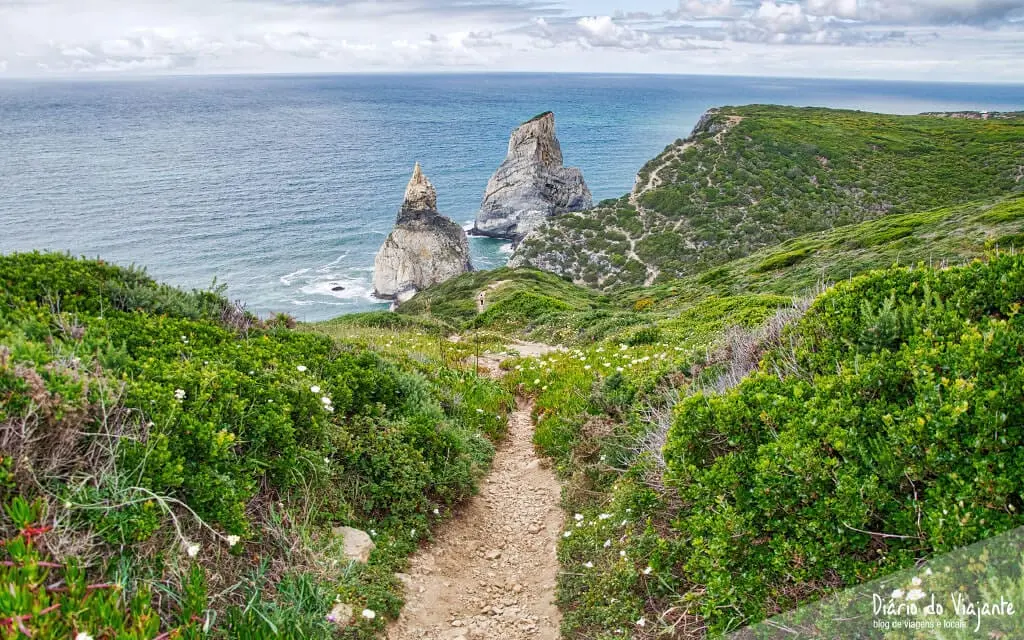 Praia da Ursa | Sintra