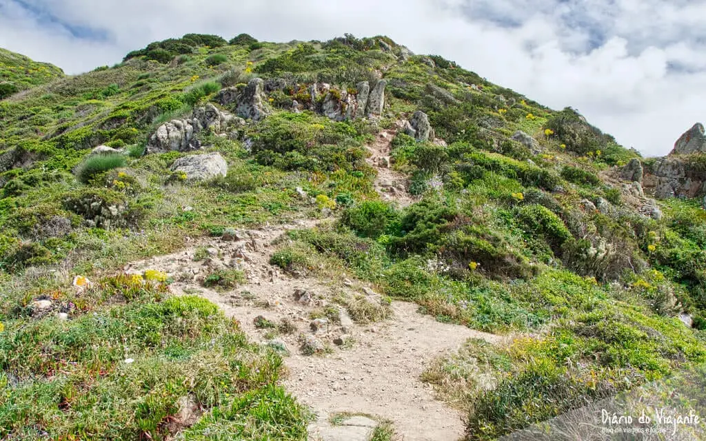 Praia da Ursa | Sintra