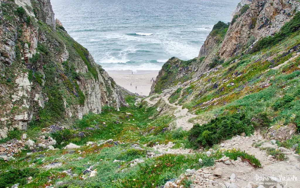 Praia da Ursa | Sintra