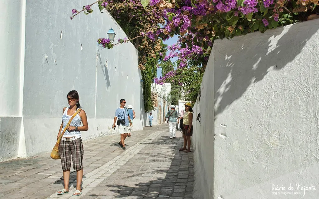 Sidi Bou Said, a aldeia branca e azul, Tunísia