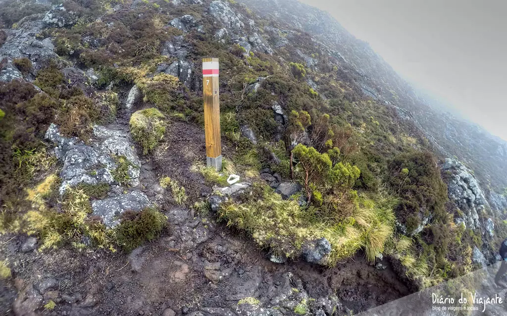 Montanha do Pico, Açores