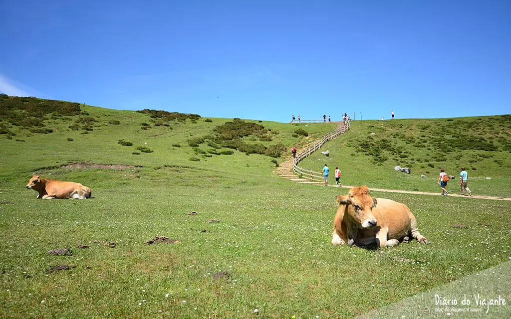 De Lisboa aos Picos da Europa, Viagem de Mota